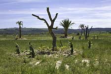 Bellcaire d'Empordà (Catalogne)